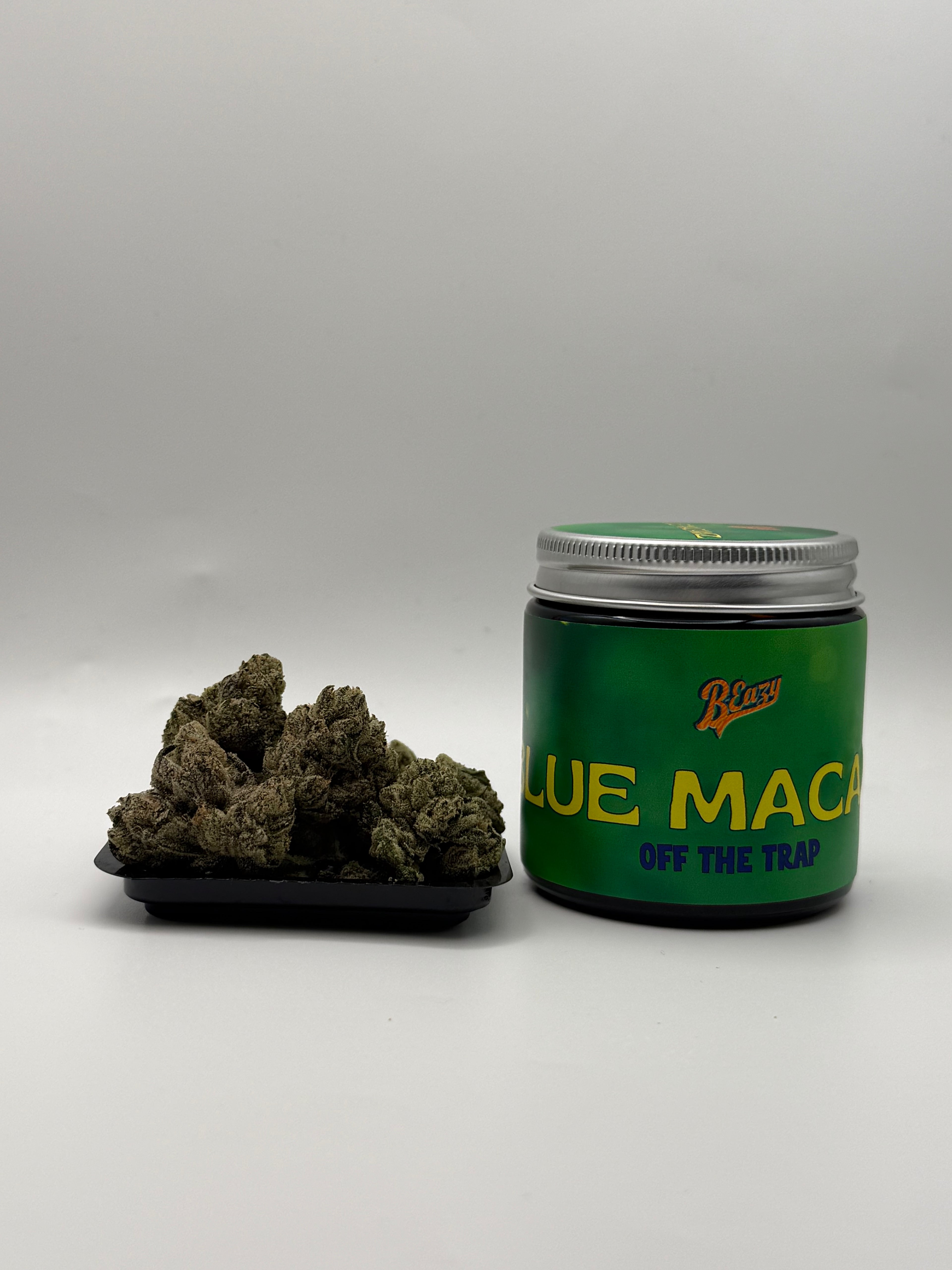 Blue Macawz
